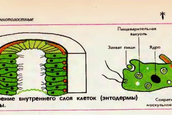 Сайт кракен зайти