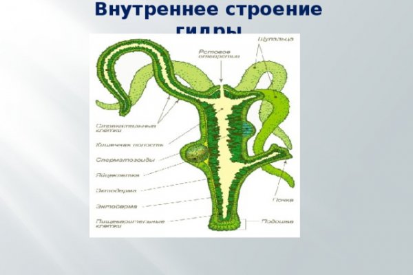 Как зайти на площадку кракен