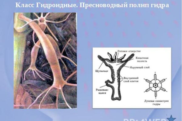 Через какой браузер зайти на кракен